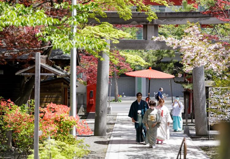 弥彦神社。挙式会場。神殿まで参道を歩む「参進の儀」も思い出に残る美しいシーン
