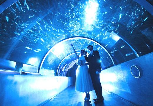 登別マリンパークニクス。目の前を魚たちが泳ぐ幻想的な空間でセレモニーが叶います