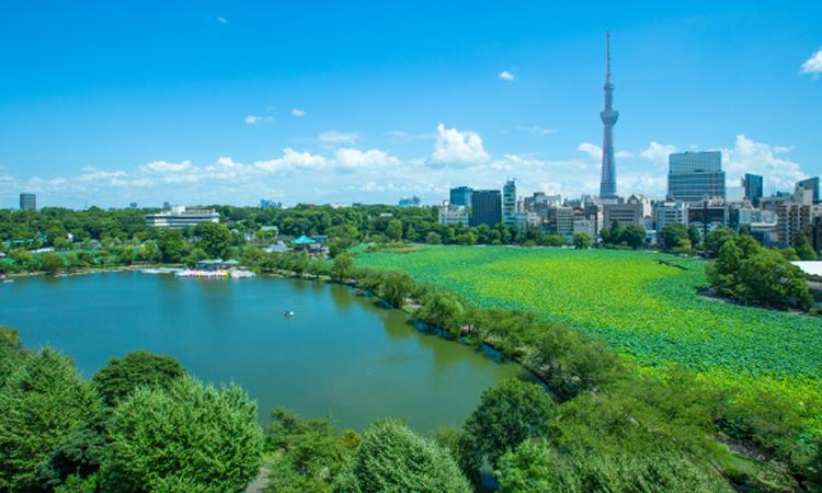 LUCIS(ルーキス)。アクセス・ロケーション。上野恩賜公園の自然と大空、『東京スカイツリー®』が織りなす絶景を堪能