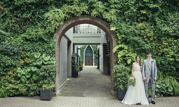 南青山サンタキアラ教会。アクセス・ロケーション。一際目をひく、豊かな緑に覆われたファサードが印象的な外観