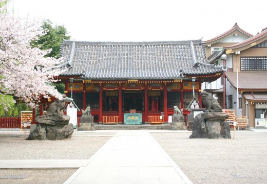 浅草神社。季節ごとに美しい姿を見せる『浅草神社』。春には桜が咲きます