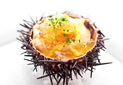 DAZZLE（レストランダズル）。料理。色鮮やかな見た目が美しい人気メニュー『生うにのフラン』