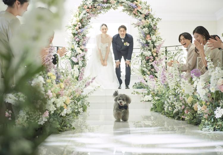 赤坂 アプローズスクエア迎賓館。挙式会場。愛犬に指輪を運んでもらうリングドッグの演出も可能