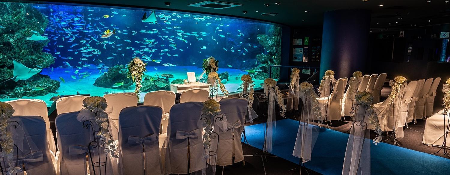 サンシャインスカイブライダル。挙式会場。『サンシャイン水族館』での挙式は最大200名まで収容可能。ゲストにも楽しんでもらいたいと考えるふたりにおすすめです