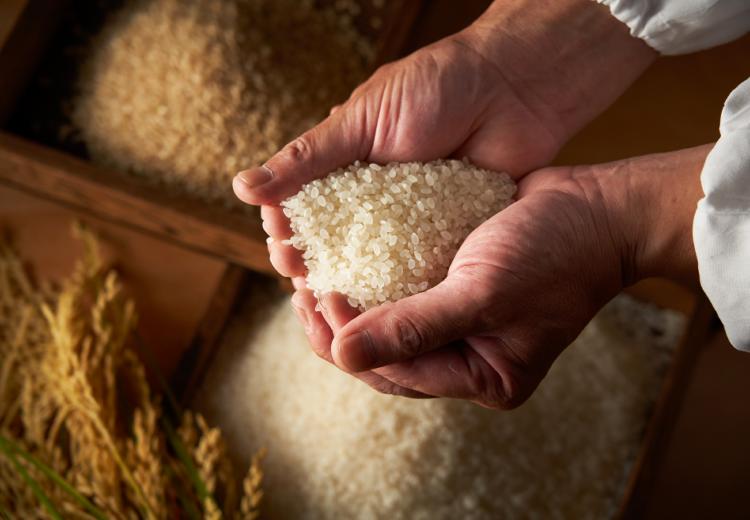 乃木神社・乃木會館。料理。『乃木神社』の神饌田で育てた特別な神饌米を振る舞えます
