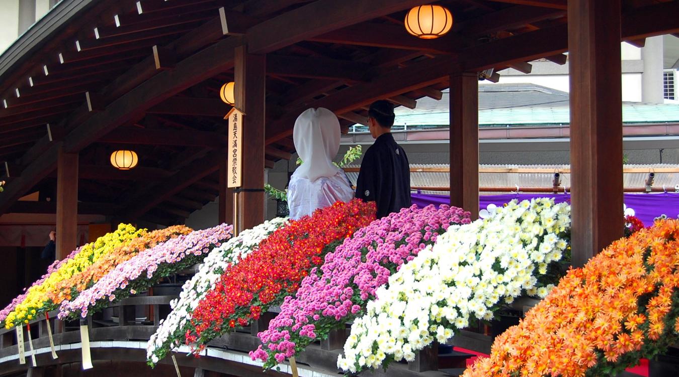 湯島天満宮。梅や菊など四季折々の花々を楽しめる境内。菊まつりの時期にはカラフルな菊が随所に飾られ、華やかな雰囲気になります