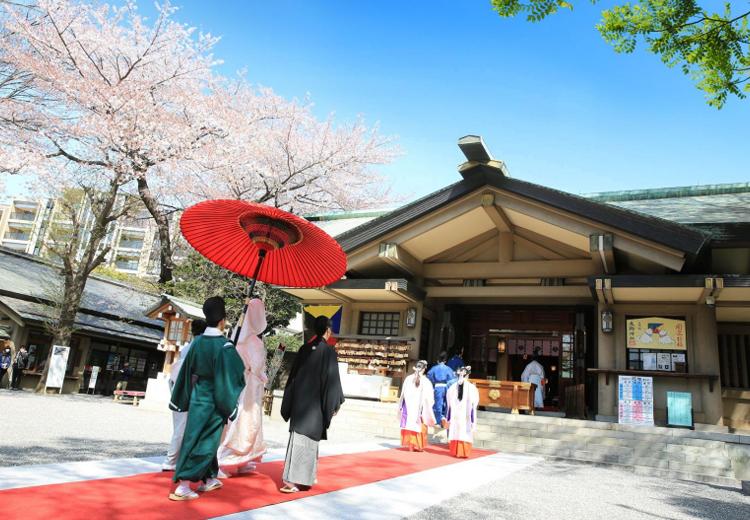 東郷神社／原宿 東郷記念館。挙式会場。満開の桜が境内を華やかに彩る春は、特に人気のシーズン