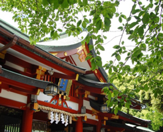 日枝神社結婚式場（日枝あかさか）。アクセス・ロケーション。大鳥居をくぐると、四季の自然が迎えてくれます