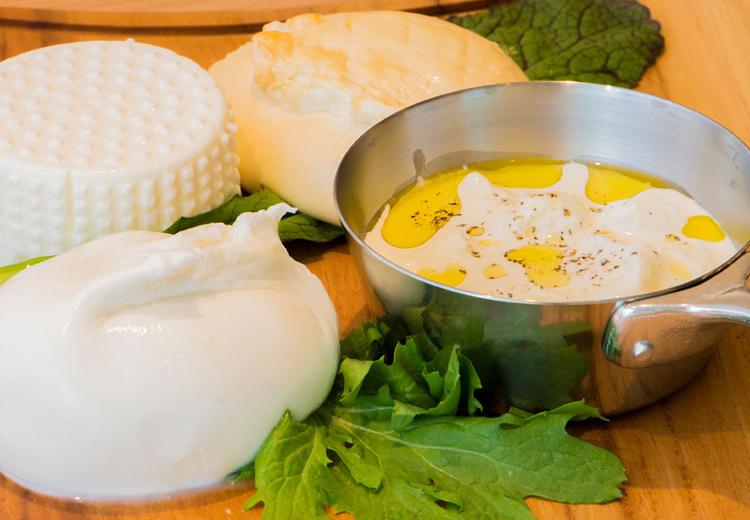 Cucina del NABUCCO（クッチーナ デル ナブッコ）。料理。毎朝レストランで丁寧に手作りされるこだわりのフレッシュチーズ