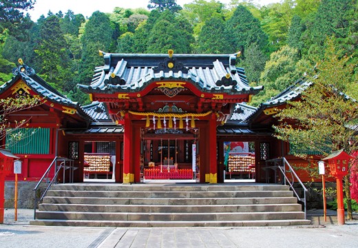 湯本富士屋ホテル。挙式会場。千二百余年の伝統と厳かな空気に包まれた『箱根神社』