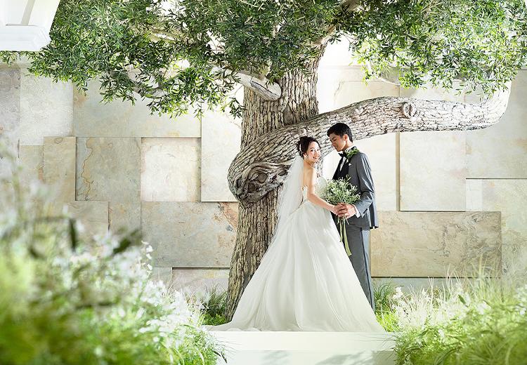 ザ コンチネンタル横浜／大さん橋。挙式会場。緑豊かなオリーブの木の下で永遠の愛を誓い合います