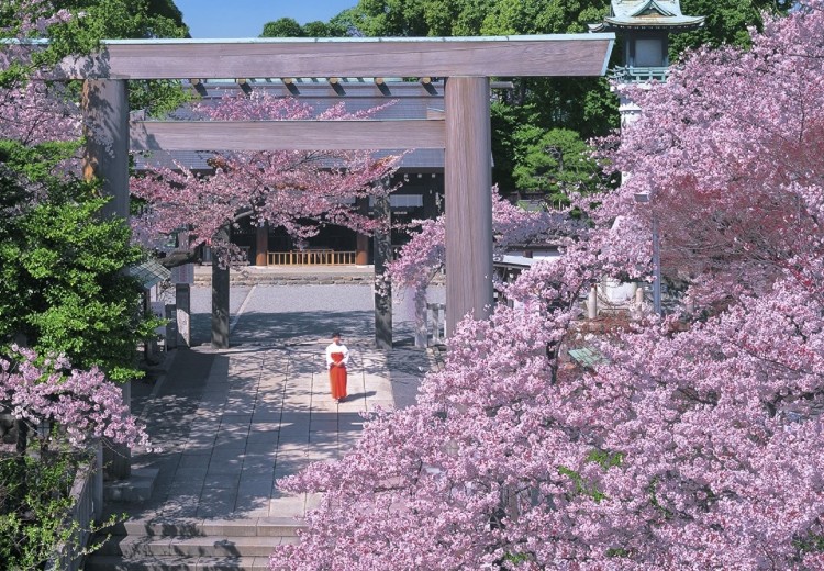 伊勢山ヒルズ。挙式会場。式場に直結している『伊勢山皇大神宮』。36名まで参列可能です