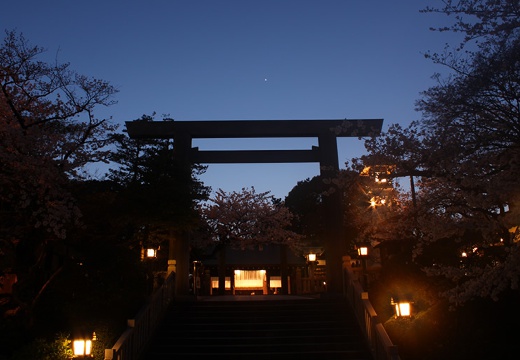 伊勢山皇大神宮。挙式会場。薄暗がりの境内に灯篭の灯りが揺れる幽玄な「御神火の誓い」