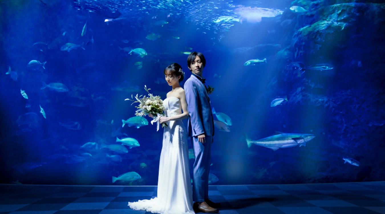 新江ノ島水族館。水族館が大好きなカップルやオリジナリティあふれる結婚式を叶えたいふたりにぴったり。美しい写真も大切な思い出になります