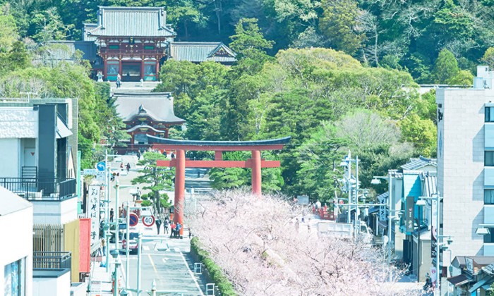 KOTOWA鎌倉 鶴ヶ岡会館（コトワ鎌倉 鶴ヶ岡会館）。アクセス・ロケーション。『鶴岡八幡宮』からは徒歩圏内。四季によって表情が変わる美しいロケーションです