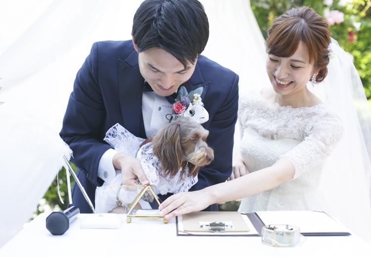 山手十番館ウエディング ハウス&ガーデン。挙式会場。大切なペットも一緒に過ごせるアットホームなガーデン挙式