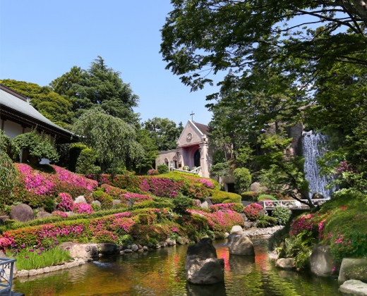 ロイヤルガーデンパレス 柏 日本閣。アクセス・ロケーション。1500坪の日本庭園が誇る、都心近郊とは思えない圧巻の自然です