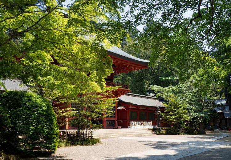 佐原商家町ホテル NIPPONIA(佐原商家町ホテル ニッポニア)。挙式会場。四季折々の景色を楽しめる豊かな自然に包まれた境内