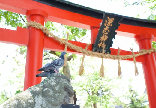 レストラン ヒカリヤ。挙式会場。『八坂祭』『天神祭』で知られる『深志神社』も選べます