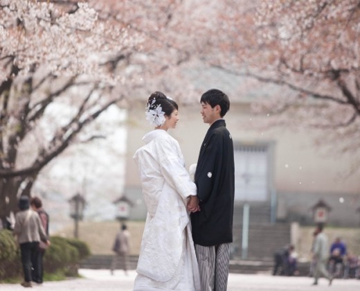 アニーズガーデン サプラ・サプラ