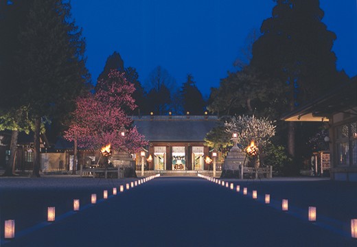 射水神社うつくしの杜 参集殿。挙式会場。ライトアップされた拝殿と参道は、和の趣を感じさせます