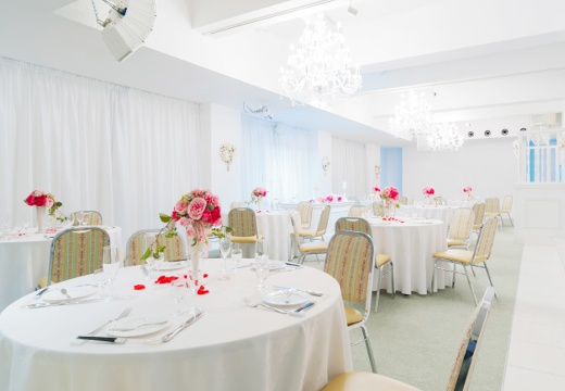 シンシアリリィ