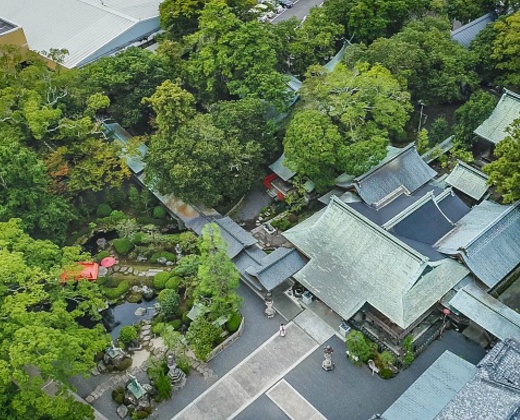 大井神社 宮美殿。アクセス・ロケーション。豊かな緑に囲まれた神社で、特別な一日を過ごせます