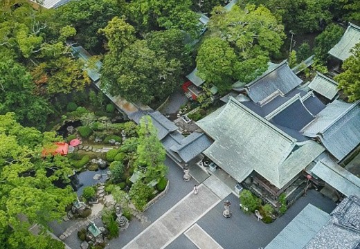 大井神社 宮美殿