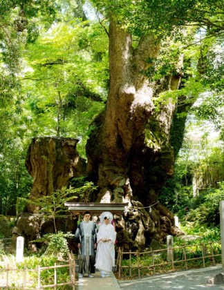 來宮神社