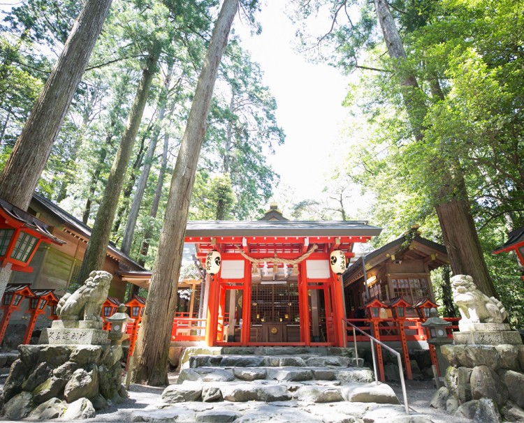 椿大神社。アクセス・ロケーション。静謐な空気が流れる神社を舞台に、厳かな結婚式を執り行えます