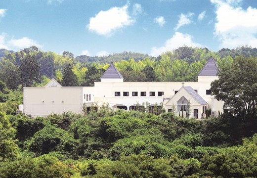 シャトー ラ・パルム・ドール