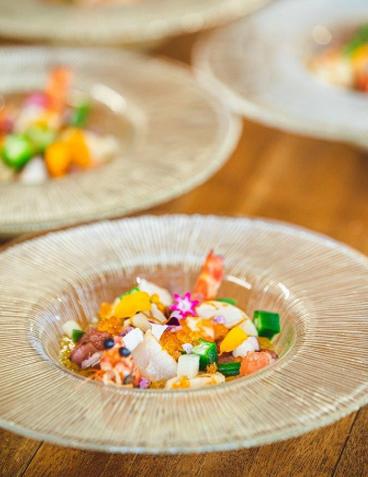 本草研究所RINNE ～奥ヴィソン～（本草研究所リンネ ～奥ヴィソン～）