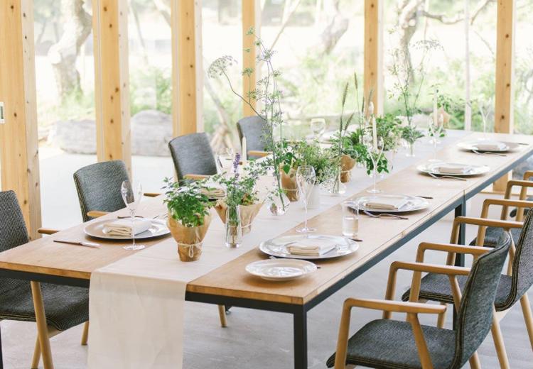 本草研究所RINNE ～奥ヴィソン～（本草研究所リンネ ～奥ヴィソン～）