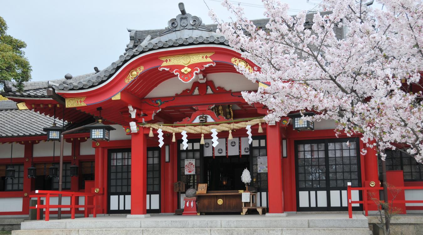 市原稲荷神社。春の桜、秋の紅葉など、季節ごとに様々な表情を見せる自然豊かな境内。幼い頃から親しんだ地元の神社での結婚式が叶います