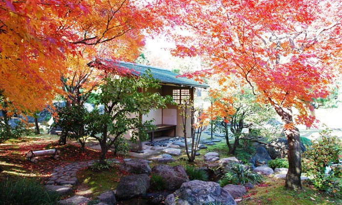 白鳥庭園 THE SHUGEN（白鳥庭園 ザ シュウゲン）。アクセス・ロケーション。秋には色鮮やかな紅葉を楽しむこともできる、日本庭園が魅力的な結婚式場です