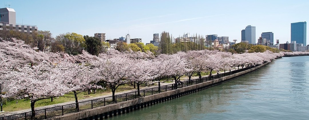 旧桜宮公会堂。アクセス・ロケーション。春には大川沿いの桜並木がふたりやゲストをあたたかく出迎えます。都心にいながら豊かな自然に囲まれた結婚式が叶います