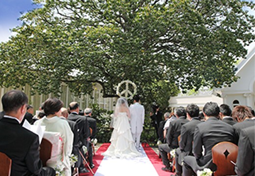 アンジュ・デ・ラヴィ。挙式会場。晴天の青空とモチの木の緑が目に鮮やかなガーデンウェディング