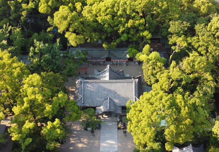 杭全神社。御本殿の回廊からは鎮守の杜の緑を一望できます