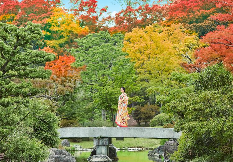 迎賓館。アクセス・ロケーション。春には桜、秋には紅葉と四季の美しさを感じさせるロケーション