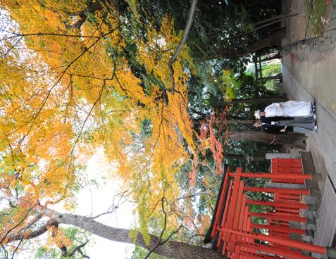 阿比太神社