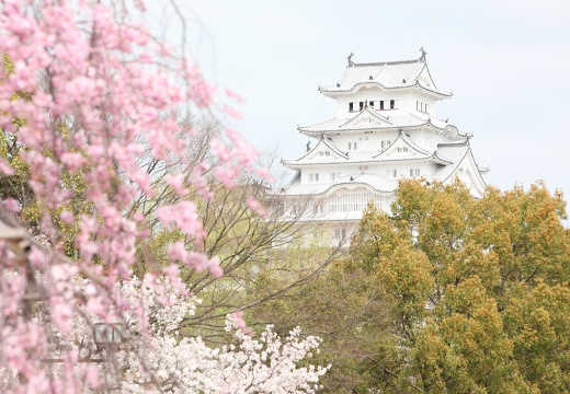 白鷺宮 姫路護國神社。披露宴会場。「白鷺城」として知られる『姫路城』が見える特別な空間