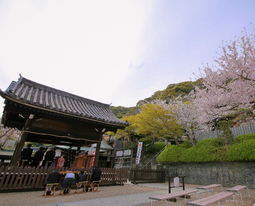 神戸北野天満神社。アクセス・ロケーション。桜や紅葉など四季の自然を近くで感じられるのも魅力的です