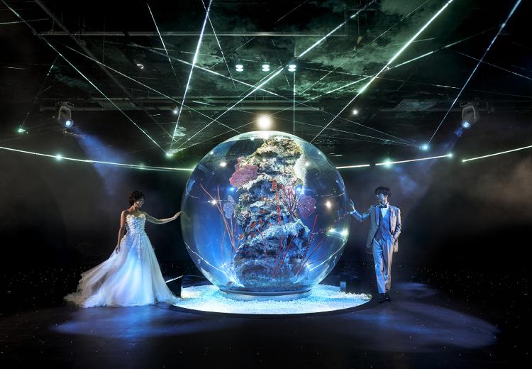 VOYAGE KOBE(ヴォヤージュ 神戸)。挙式会場。ふたりとゲストだけで水族館を贅沢に貸切って行う結婚式
