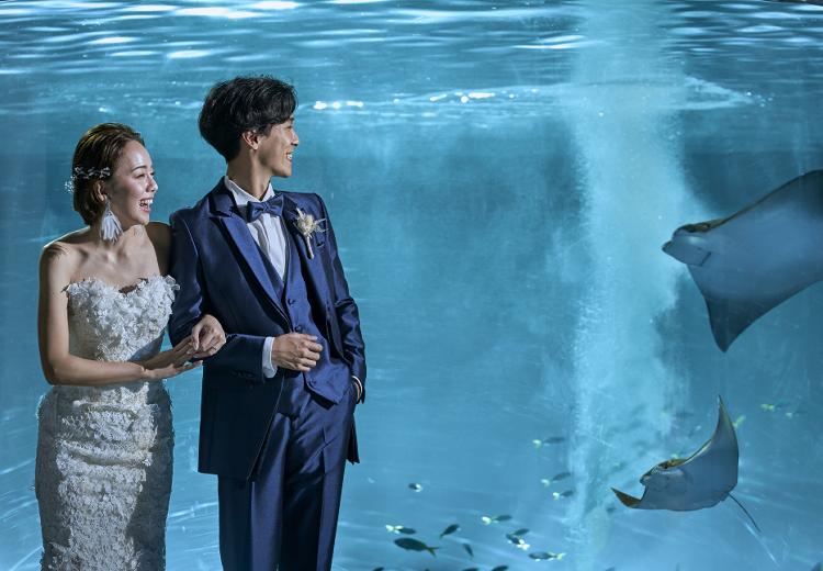 VOYAGE KOBE（ヴォヤージュ 神戸）。挙式会場。優雅に泳ぐ海の生き物たちもふたりの結婚を祝福してくれます
