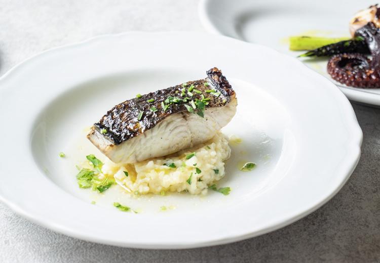 TRATTORIA amarancia（トラットリア アマランチャ）。料理。南イタリア・地中海にインスパイアされた料理を提供