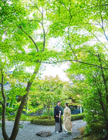 KYOTO KITAYAMA MONOLITH(京都 北山モノリス)