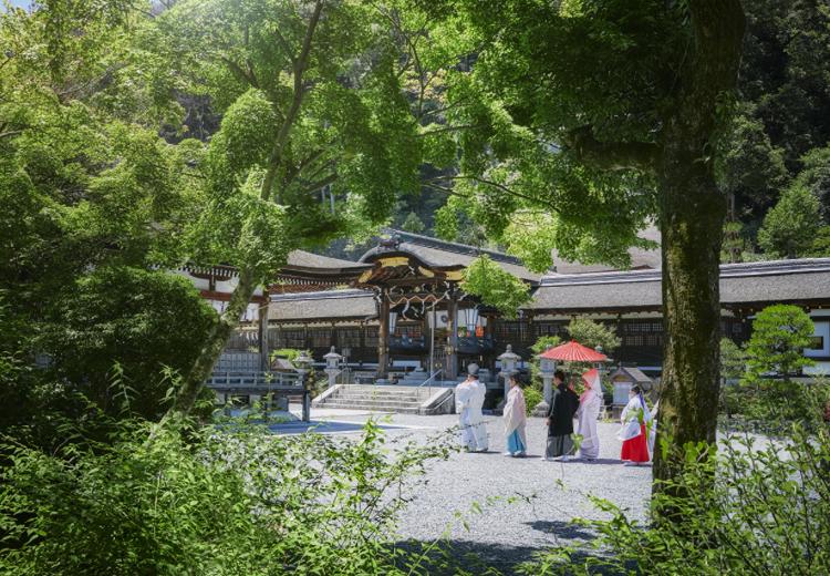 松尾大社。挙式会場。自然に囲まれた境内を朱傘をさして歩む、美しい参進