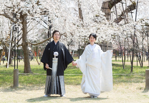 上賀茂 玉屋 かも川店。挙式会場。春には桜が美しいことで知られる神社での、特別なひととき