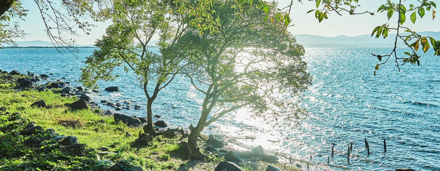 Flairge Dalliance（フレアージュ ダリアンス）。アクセス・ロケーション。雄大な琵琶湖を目の前に望む、自然豊かなロケーションが魅力。リゾート感に満ちた結婚式となるでしょう