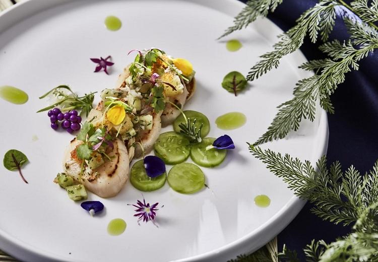 IRIS WATER TERRACE AYAMEIKE(イリスウォーターテラスあやめ池)。料理。素材を大切にした美しい料理にゲストの心もほぐれていきます